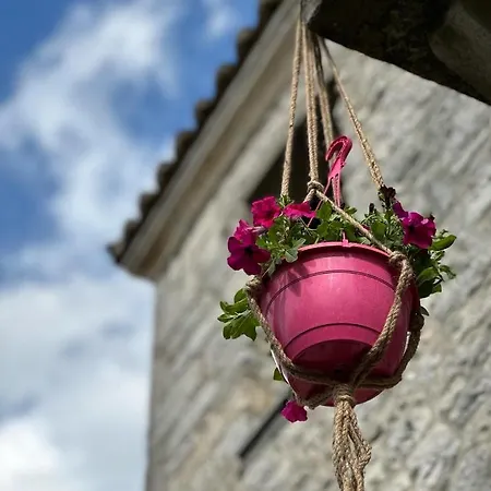 Aparthotel Casa La Bohema