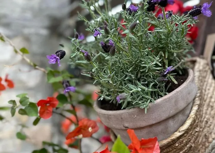 شقة فندقية Casa La Bohema أفيتوس