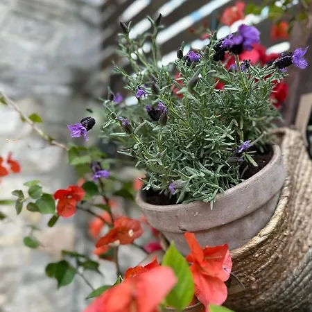 Апарт-отель Casa La Bohema Афитос